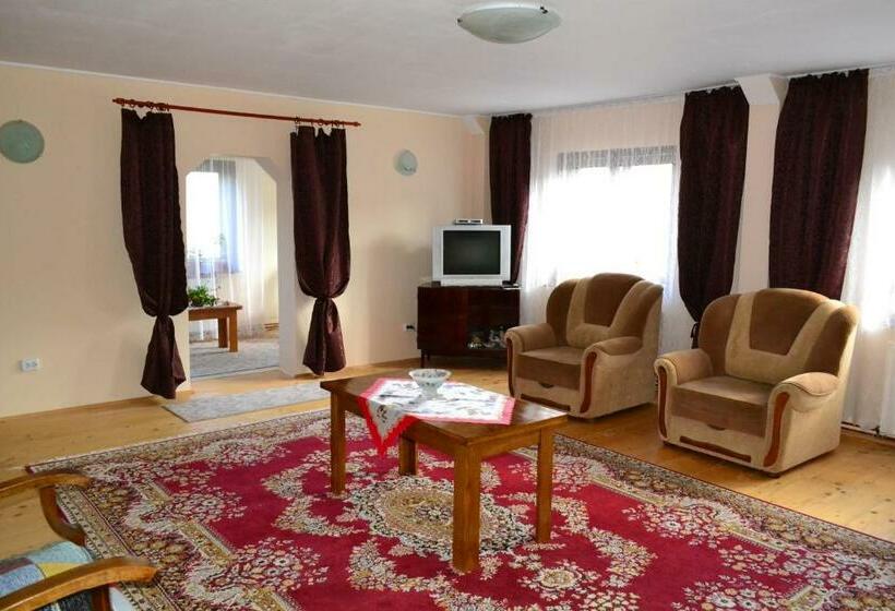 Пансион Casa Andrada & Ilinca