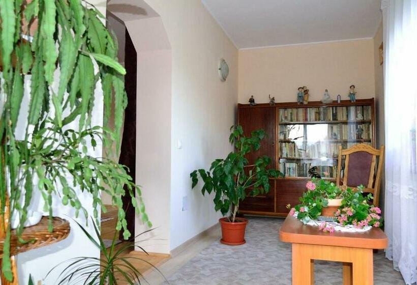 Пансион Casa Andrada & Ilinca