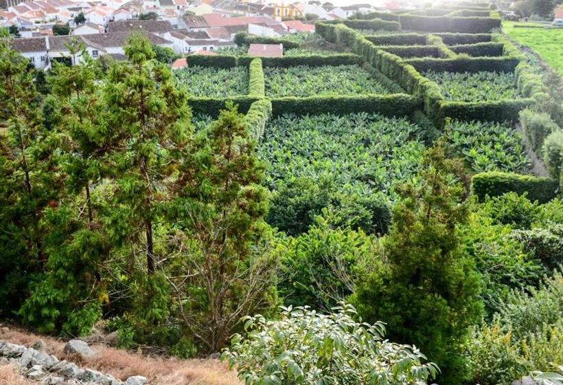 پانسیون Quinta Amaro Al