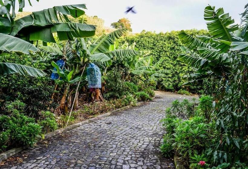 پانسیون Quinta Amaro Al