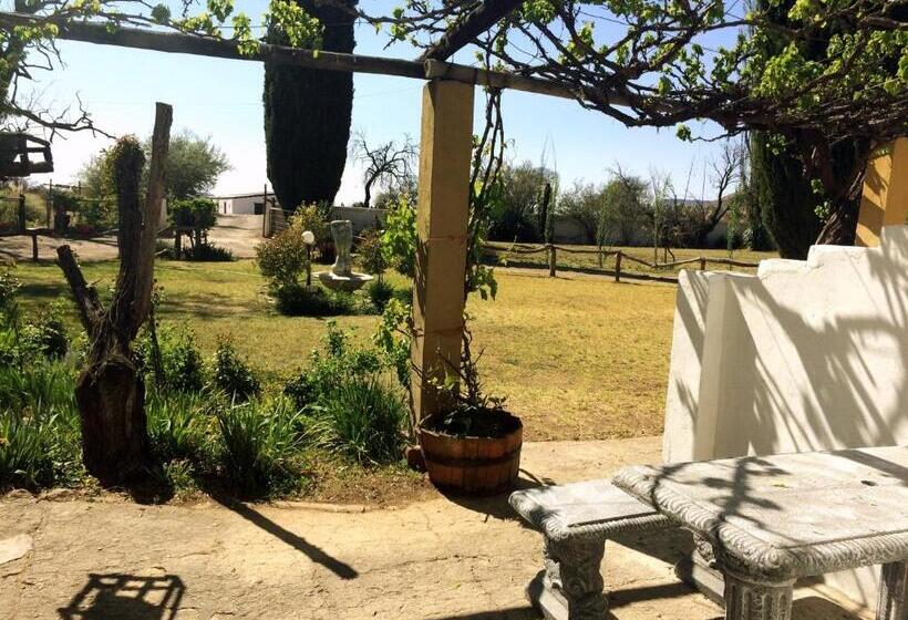 بنسيون Witkrans Guest Farm