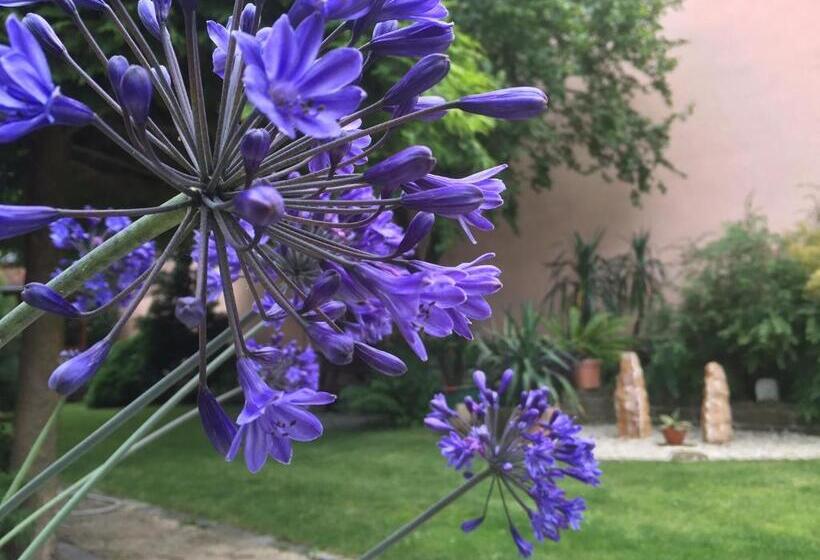 Pension Sonja Müller