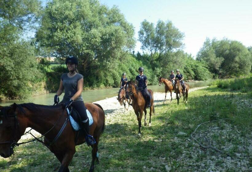 B&b Centro Ippico Andrea