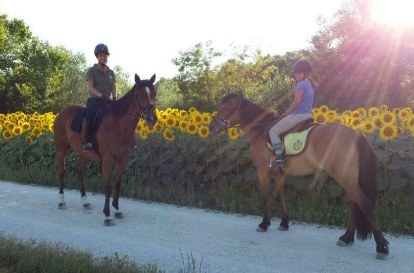 B&b Centro Ippico Andrea