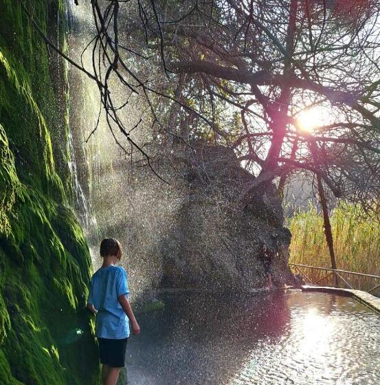 住宿加早餐  Finca Oliva