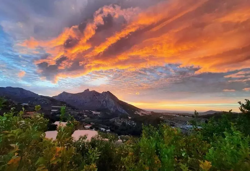 ベッドアンドブレックファースト Finca Oliva