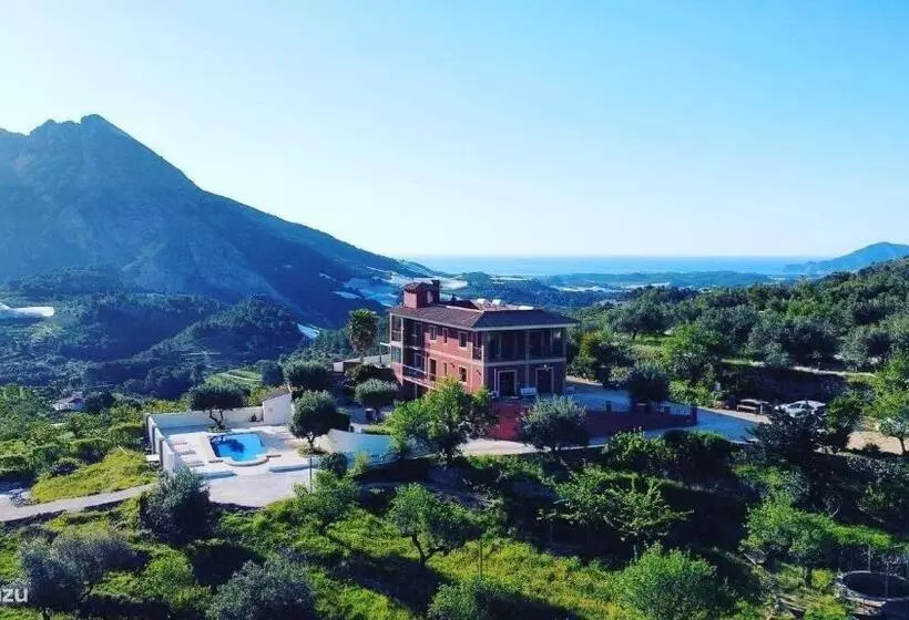 ベッドアンドブレックファースト Finca Oliva