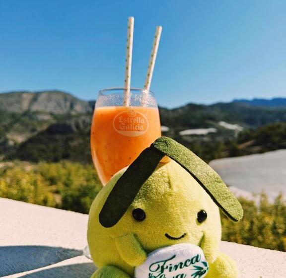 住宿加早餐  Finca Oliva