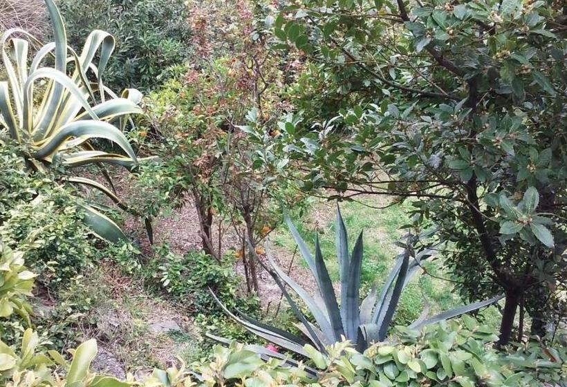 צימר Il Capriolo