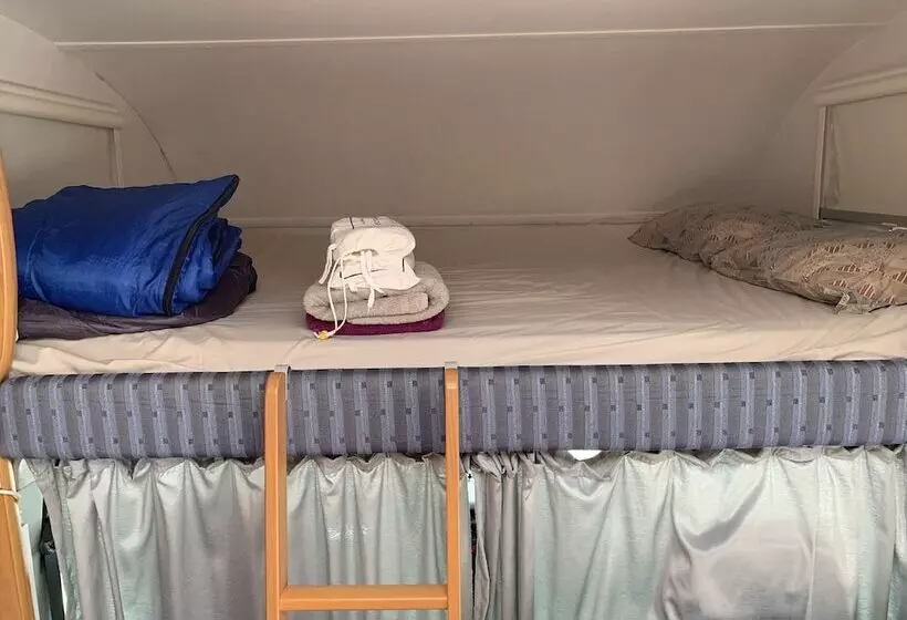 ベッドアンドブレックファースト Tig Lammax