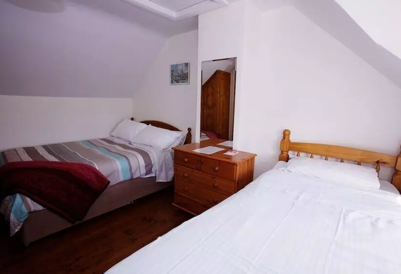 ベッドアンドブレックファースト Tig Lammax