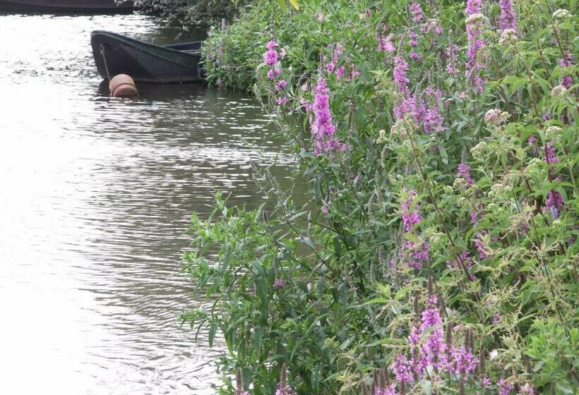 פנסיון B&b Achter De Sterren