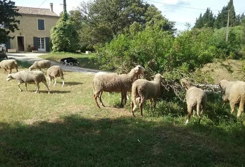 ペンション Le Mas Du Berger