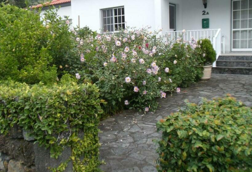 Pensión Tropical Fruit Garden