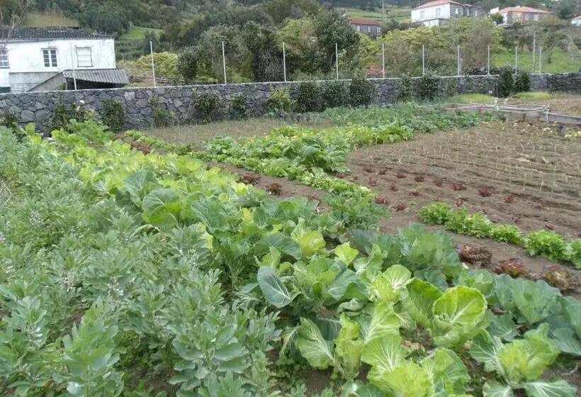 ペンション Tropical Fruit Garden