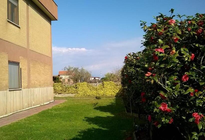 B&b Casa Degli Ulivi