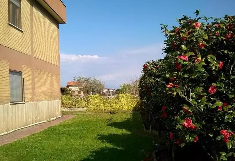 B&b Casa Degli Ulivi