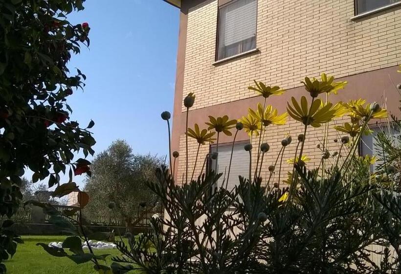 B&b Casa Degli Ulivi
