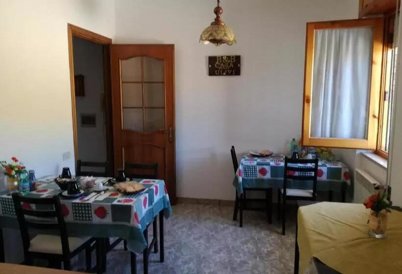 B&b Casa Degli Ulivi