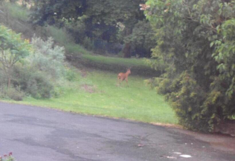 B&b La Maison De L Aubette