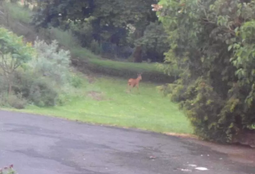 B&b La Maison De L Aubette
