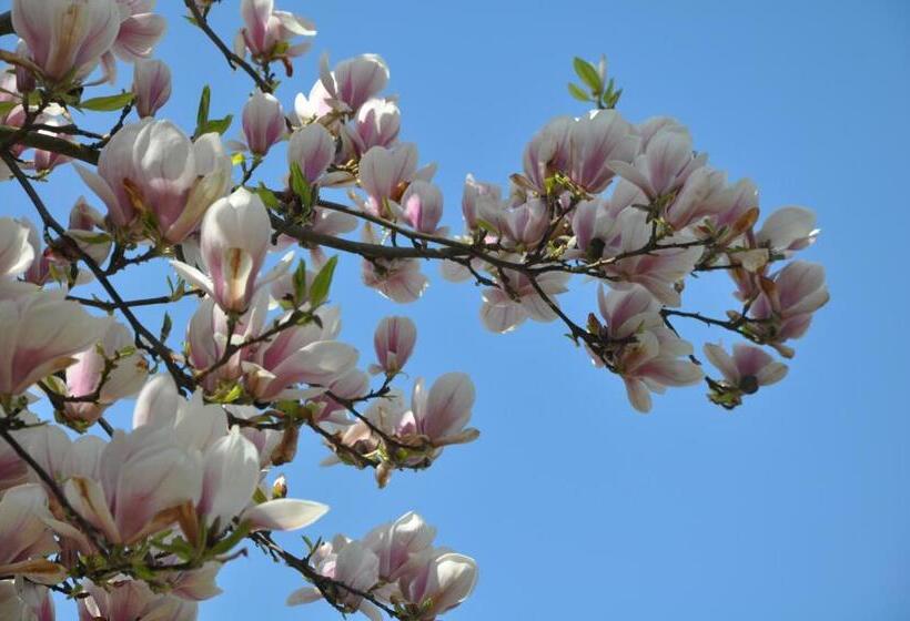 مبيت وإفطار Les Charmilles