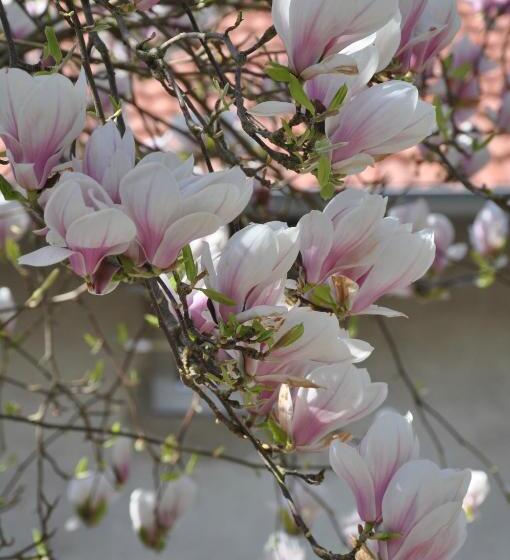 مبيت وإفطار Les Charmilles