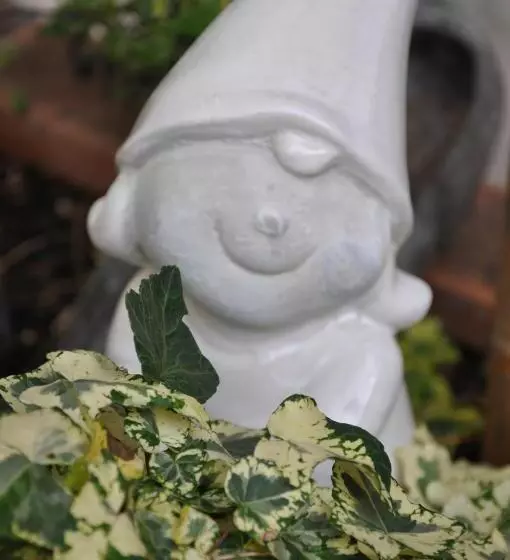 Aamiaismajoitus (B&B) Les Charmilles