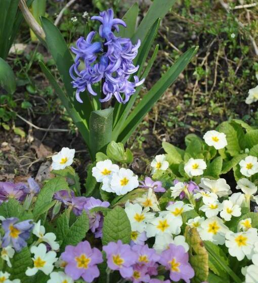 مبيت وإفطار Les Charmilles