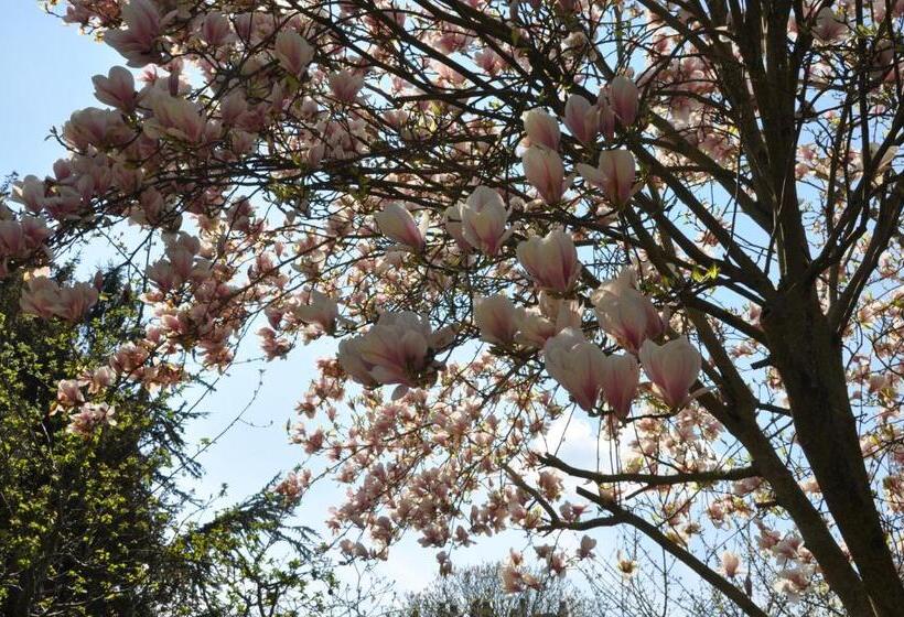 مبيت وإفطار Les Charmilles