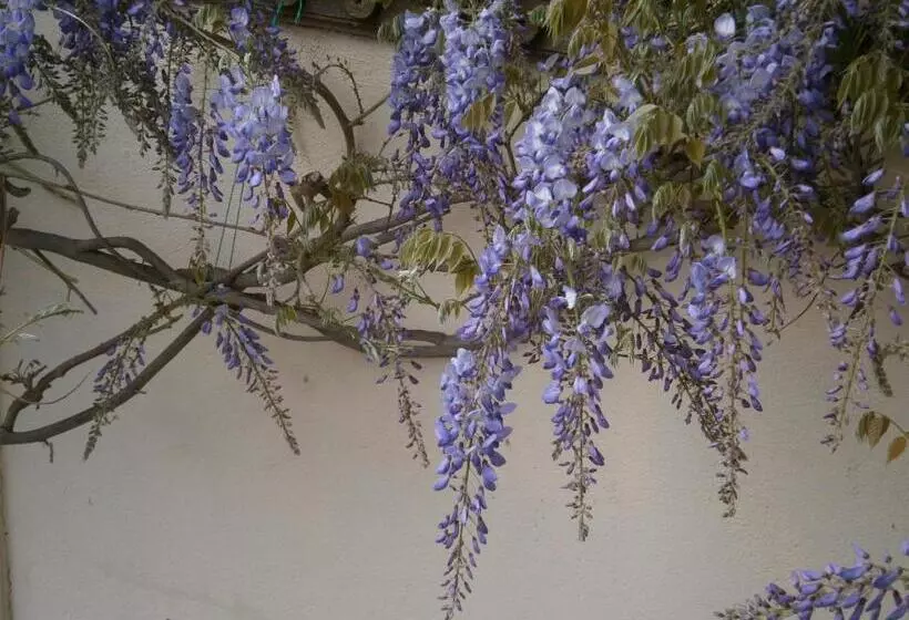 Aamiaismajoitus (B&B) Les Charmilles