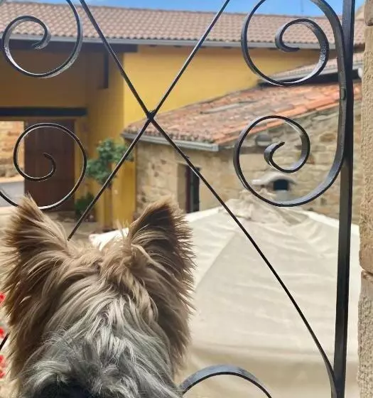 Aamiaismajoitus (B&B) Peñasalve