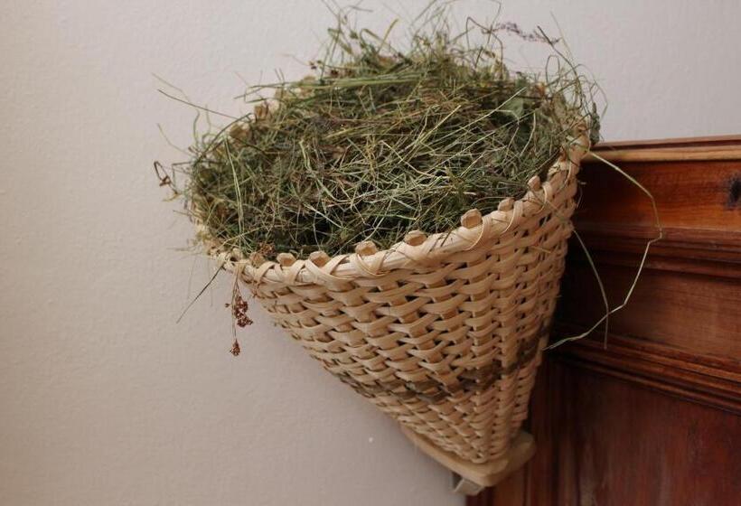 Отель Aussermairhof