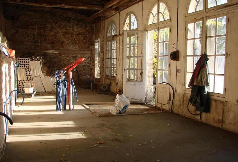 بنسيون L Orangerie White Palacio