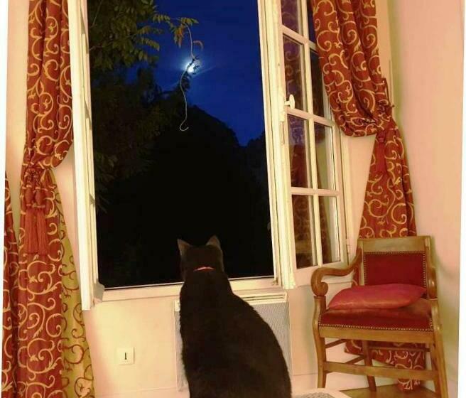 بنسيون L Orangerie White Palacio