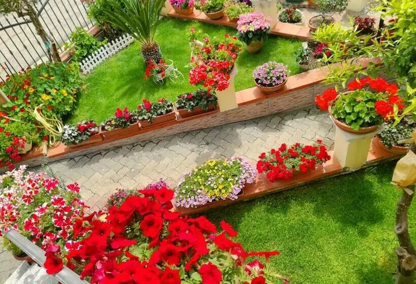 B&b Il Giardino Da Pina