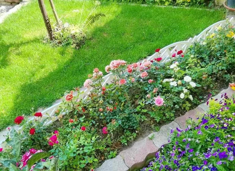 B&b Il Giardino Da Pina