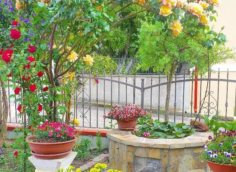 B&b Il Giardino Da Pina