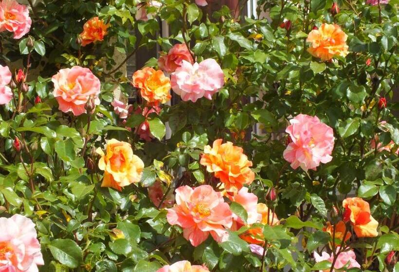 B&b Le Mas Des Chenes