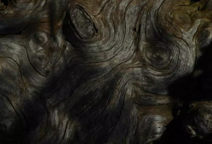 ベッドアンドブレックファースト La Couette De L Ours