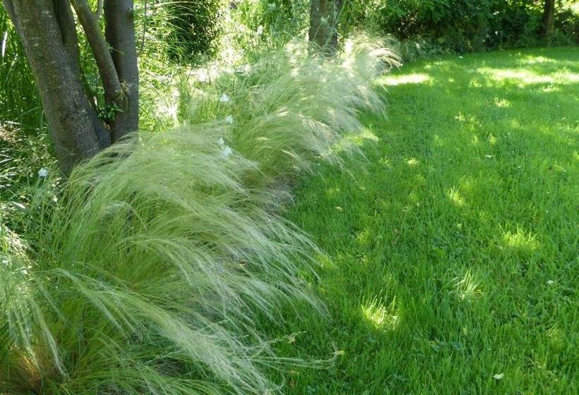 צימר La Couette De L Ours
