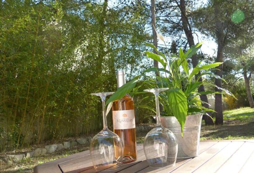 Bed and Breakfast Studio D Hôtes Les Libellules