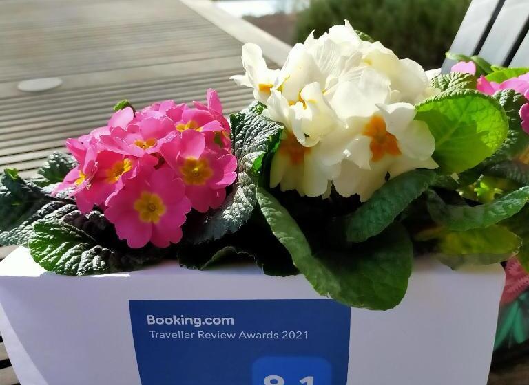 Bed and Breakfast Studio D Hôtes Les Libellules