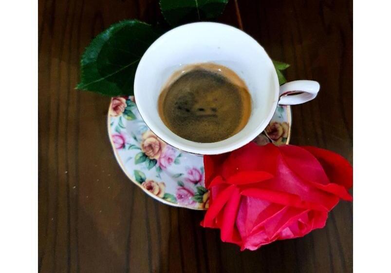 Пансион Foresteria La Ceriola