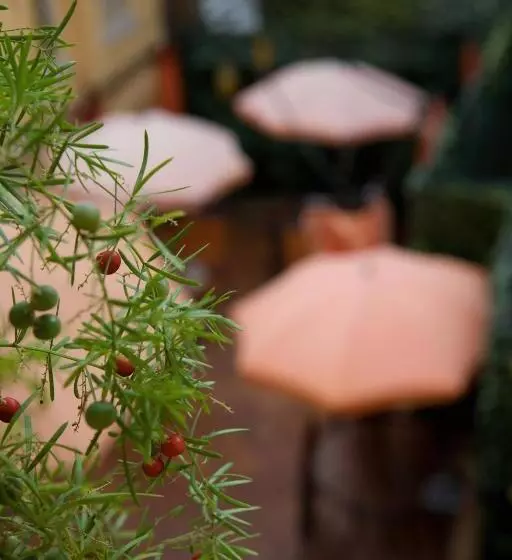 צימר Sweet Dream Trevi