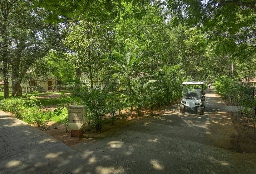 בית מלון כפרי Heritage Madurai