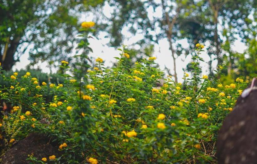 Hotel Windermere Estate