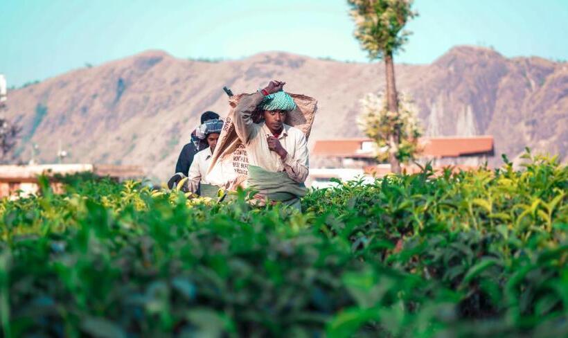 Hotel Windermere Estate