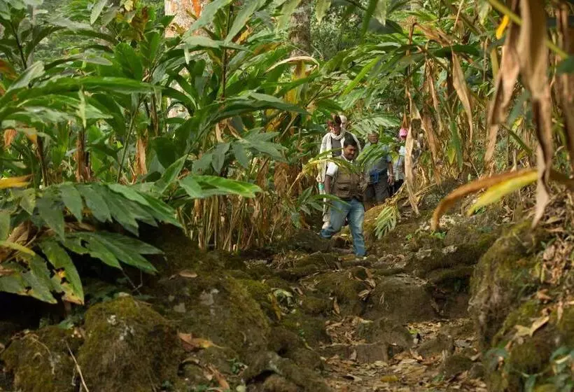 Отель Windermere Estate