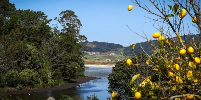 펜션 Casa Raúl Lires